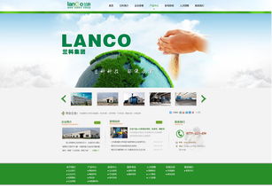 星巢网络在时间财富网上的作品 专业公司网站建设与网络推广服务