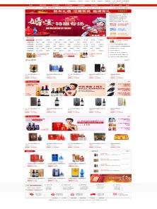 网站建设与网络推广 数字化时代的企业双翼